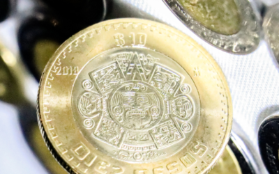 Reparto de utilidades: plazos, cálculo y sanciones